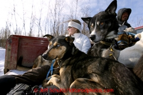 Veterinarian Julie Kittams holds onto dropped dogs in the back of a pickup truck as it heads to the Shageluk airport Saturday March 9, 2013.Iditarod Sled Dog Race 2013Photo by Jeff Schultz copyright 2013 DO NOT REPRODUCE WITHOUT PERMISSION