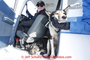 Volunteer Iditarod pilot Jerry Wortley with a load of dropped dogs at the Shageluk checkpoint on Saturday March 9, 2013.

Iditarod Sled Dog Race 2013

Photo by Jeff Schultz copyright 2013 DO NOT REPRODUCE WITHOUT PERMISSION