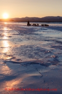 Michelle Phillips at sunrise on the Unalakleet River on her way to Unalakleet on Sunday, March 9, during the Iditarod Sled Dog Race 2014.PHOTO (c) BY JEFF SCHULTZ/IditarodPhotos.com -- REPRODUCTION PROHIBITED WITHOUT PERMISSION