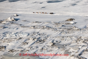 Dallas Seavey hunkers behind his sled on the trail heading into Koyuk on Sunday, March 9, during the Iditarod Sled Dog Race 2014.PHOTO (c) BY JEFF SCHULTZ/IditarodPhotos.com -- REPRODUCTION PROHIBITED WITHOUT PERMISSION