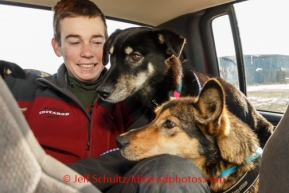 Volunteer dog handler Scott Barber holds 2 dropped dogs in a pickup truck at Unalakleet on Sunday, March 9, during the Iditarod Sled Dog Race 2014.PHOTO (c) BY JEFF SCHULTZ/IditarodPhotos.com -- REPRODUCTION PROHIBITED WITHOUT PERMISSION