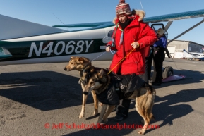 Volunteer drop dog handler Jennifer Kipper takes two dropped dogs from a plane Unalakleet on Sunday, March 9, during the Iditarod Sled Dog Race 2014.PHOTO (c) BY JEFF SCHULTZ/IditarodPhotos.com -- REPRODUCTION PROHIBITED WITHOUT PERMISSION