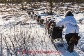 Aliy Zirkle runs on the snow and tundra trail shortly after leaving Koyuk on Sunday, March 9, during the Iditarod Sled Dog Race 2014.PHOTO (c) BY JEFF SCHULTZ/IditarodPhotos.com -- REPRODUCTION PROHIBITED WITHOUT PERMISSION