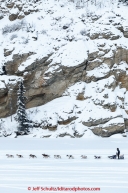 A team passes a house on a bluff along the Tanana river  after leaving the start line at Pike's Landing in Fairbanks on Monday March 9, 2015 during Iditarod 2015.(C) Jeff Schultz/SchultzPhoto.com - ALL RIGHTS RESERVED DUPLICATION  PROHIBITED  WITHOUT  PERMISSION