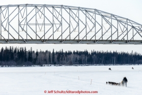 A team runs down the Tanana River with the Parks Highway bridge in the background after leaving the first checkpoint of Nenana on March 9th, 2015 during the 2015 Iditarod.(C) Jeff Schultz/SchultzPhoto.com - ALL RIGHTS RESERVED DUPLICATION  PROHIBITED  WITHOUT  PERMISSION