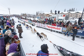 Excited dogs and fans at the offical start of the 2015 Iditarod in Fairbanks, Alaska.(C) Jeff Schultz/SchultzPhoto.com - ALL RIGHTS RESERVED DUPLICATION  PROHIBITED  WITHOUT  PERMISSION