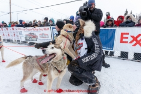 Kristy Berington gives one of her dogs a kiss before she runs through the start line at the offical start of the 2015 Iditarod in Fairbanks, Alaska.(C) Jeff Schultz/SchultzPhoto.com - ALL RIGHTS RESERVED DUPLICATION  PROHIBITED  WITHOUT  PERMISSION