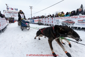 A team of dogs are in a mad dast at the offical start of the 2015 Iditarod in Fairbanks, Alaska.(C) Jeff Schultz/SchultzPhoto.com - ALL RIGHTS RESERVED DUPLICATION  PROHIBITED  WITHOUT  PERMISSION