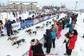 The fans watch the dogs go by at the offical start of the 2015 Iditarod in Fairbanks, Alaska.(C) Jeff Schultz/SchultzPhoto.com - ALL RIGHTS RESERVED DUPLICATION  PROHIBITED  WITHOUT  PERMISSION