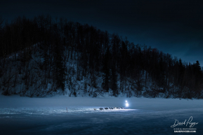 Under Moonlight