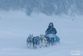 Through the Snow
