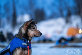 2026 Finger Lake Checkpoint