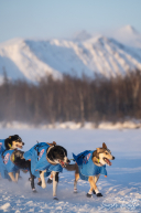 2026 Finger Lake Checkpoint