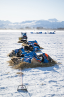2026 Finger Lake Checkpoint