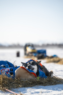 2026 Finger Lake Checkpoint