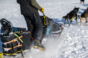 2026 Finger Lake Checkpoint