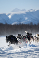2026 Finger Lake Checkpoint