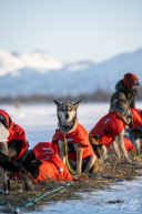 2026 Finger Lake Checkpoint