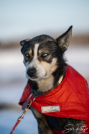 2026 Finger Lake Checkpoint