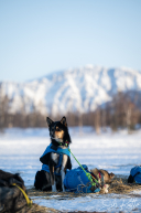 2026 Finger Lake Checkpoint