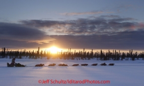 Thursday March, 2012   DeeDee Jonrowe mushes on a swamp as the sun sets near the Cripple checkpoint.   Iditarod 2012.
