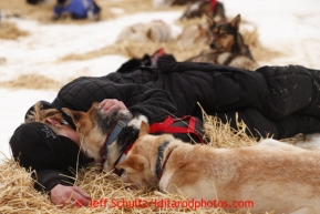 Justin Savidas lies down with his lead dogs at the halfway checkpoint of Iditarod on Friday March 8, 2013.Iditarod Sled Dog Race 2013Photo by Jeff Schultz copyright 2013 DO NOT REPRODUCE WITHOUT PERMISSION