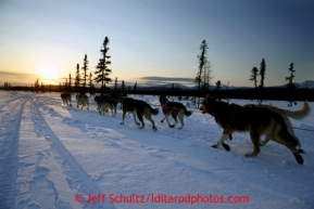 Aily Zirkle drives her dogs into the setting sun a couple miles after leaving the Kaltag checkpoint on Saturday March 9, 2013.Iditarod Sled Dog Race 2013Photo by Jeff Schultz copyright 2013 DO NOT REPRODUCE WITHOUT PERMISSION