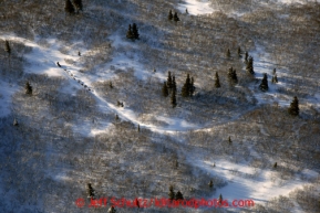 A team makes its way through willow bushes on the downhill side of the Blueberry Hills on its way to Shaktoolik on Monday March 11, 2013.Iditarod Sled Dog Race 2013Photo by Jeff Schultz copyright 2013 DO NOT REPRODUCE WITHOUT PERMISSION