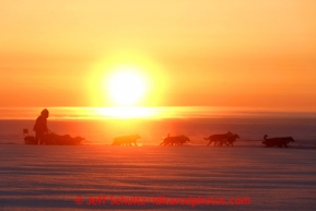 Paul Gebhart on the Bering Sea at sunrise after leaving the Elim checkpoint on Tuesday March 12, 2013.Iditarod Sled Dog Race 2013Photo by Jeff Schultz copyright 2013 DO NOT REPRODUCE WITHOUT PERMISSION