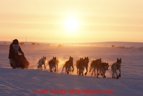 Cim Smyth runs on the trail at sunrise several miles before the finish line in Nome on Wednesday March 13, 2013. Iditarod Sled Dog Race 2013Photo by Jeff Schultz copyright 2013 DO NOT REPRODUCE WITHOUT PERMISSION