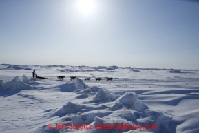 Mike Williams Jr.  runs on the Bering Sea several miles before the finish line in Nome on Wednesday March 13, 2013. Iditarod Sled Dog Race 2013Photo by Jeff Schultz copyright 2013 DO NOT REPRODUCE WITHOUT PERMISSION