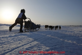 Jessica Hendricks runs on the Bering Sea several miles before the finish line in Nome on Wednesday March 13, 2013. Iditarod Sled Dog Race 2013Photo by Jeff Schultz copyright 2013 DO NOT REPRODUCE WITHOUT PERMISSION