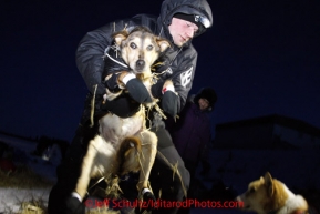 Tuesday March 13, 2012   Leader Dallas Seavey moves a dog in position just befor leaving White Mountain. Iditarod 2012.
