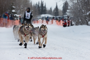 Dallas Seavey's lead dogs run down the trail shortly after leaving the start of Iditarod 2015 in Fairbanks. (C) Jeff Schultz/SchultzPhoto.com - ALL RIGHTS RESERVED DUPLICATION  PROHIBITED  WITHOUT  PERMISSION