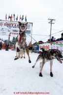 Jumping for joy at the offical start of the 2015 Iditarod in Fairbanks, Alaska.(C) Jeff Schultz/SchultzPhoto.com - ALL RIGHTS RESERVED DUPLICATION  PROHIBITED  WITHOUT  PERMISSION