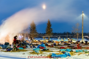 Musher headlamps streak in this time-exposure as teams rest and vapor rises from cook pots on the banks of the Yukon river at the Tanana checkpoint at 20 degrees below zero on Wednesday morning  March 11th during the 2015 Iditarod(C) Jeff Schultz/SchultzPhoto.com - ALL RIGHTS RESERVED DUPLICATION  PROHIBITED  WITHOUT  PERMISSION