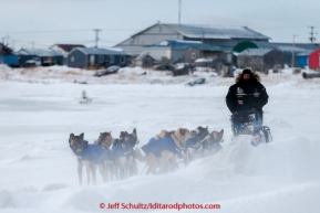 Rookie Jason Campeau runs on the slough leaving the Unalakleet checkpoint in 35 mph winds in the morning on Monday March 16, 2015 during Iditarod 2015.  (C) Jeff Schultz/SchultzPhoto.com - ALL RIGHTS RESERVED DUPLICATION  PROHIBITED  WITHOUT  PERMISSION