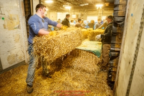 Iditarod volunteers unload a van load of straw as part of the 1635 bales of straw that is destined for all the checkpoints on the 2017 Iditarod at the Airland Transport warehouse facilities in Anchorage Alaska. Thursday February 9, 2017.Photo by Jeff Schultz/SchultzPhoto.com  (C) 2017  ALL RIGHTS RESVERVED