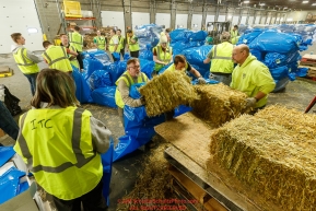 Volunteers unload, bag, stack, palletize and wrap over a thousand bales of straw and hay being to sent out to the 22 checkpoints for the 2019 Iditarod race at the Airland Transport warehouse in Anchorage, Alaska on Thursday February 7, 2019. Photo by Jeff Schultz/SchultzPhoto.com  (C) 2018  ALL RIGHTS RESERVED