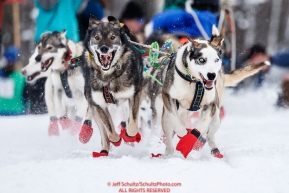Alison Lifka's leaders bolt down the start chute during the restart of the 2019 Iditarod race in Willow, Alaska on Sunday March 3, 2019.Photo by Jeff Schultz/  (C) 2019  ALL RIGHTS RESERVED
