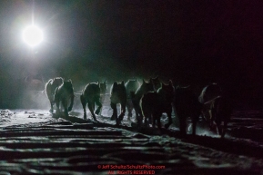 Richie Diehl runs by headlamp in the early morning nearing the Finger Lake checkpoint on Monday, March 4, 2019 during the 2019 Iditarod.Photo by Jeff Schultz/  (C) 2019  ALL RIGHTS RESERVED