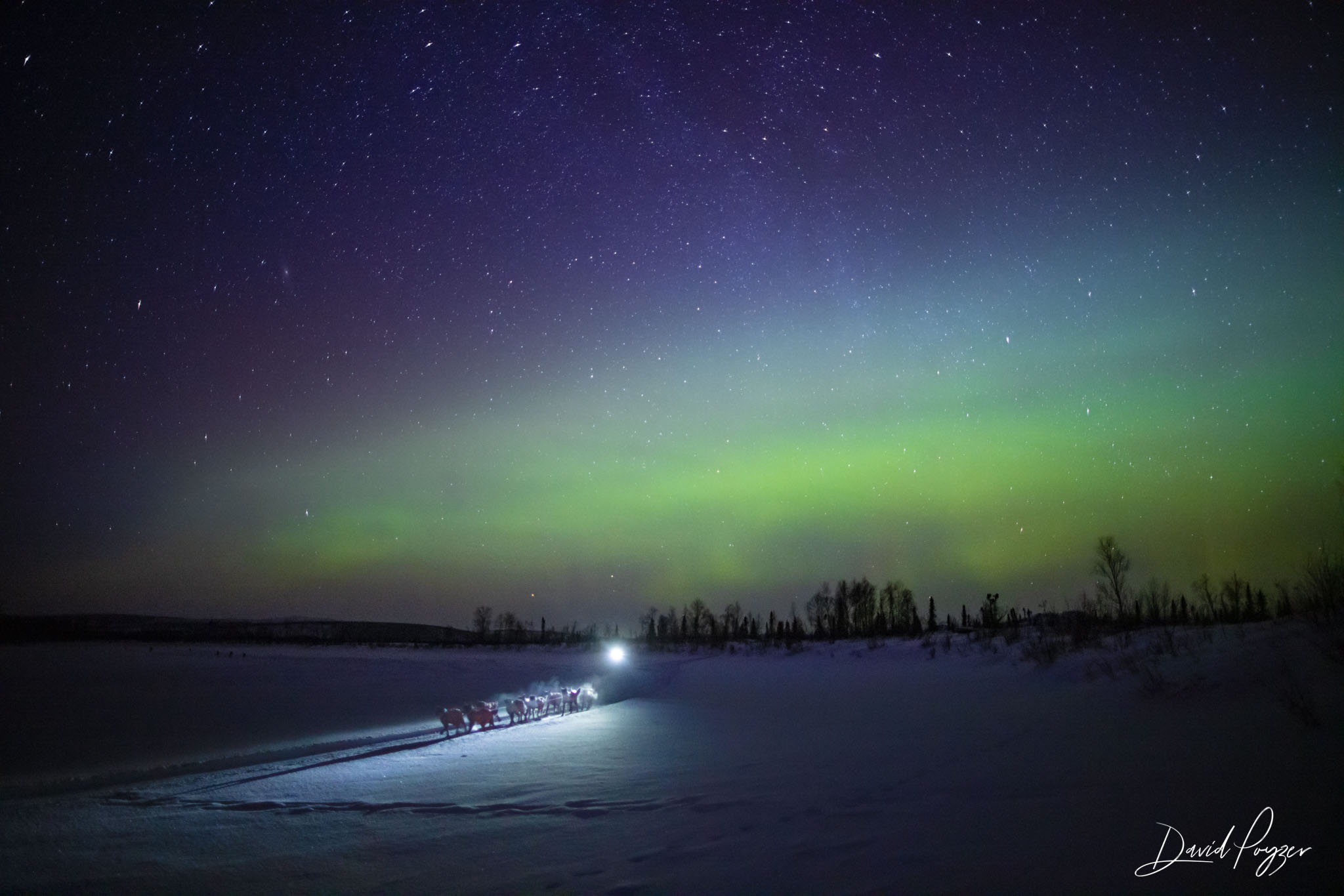 Martin Buser Under The Northern Lights