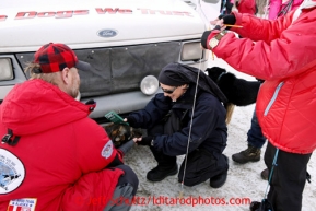 Volunteers check a dog for its AVID microchip during mandatory vet checks in Wasilla Wednesday, Feb. 27, 2013.