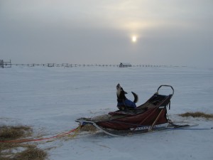 Husky Howling in Unalakleet