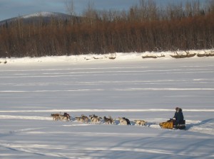 Seavey Leaves McGrath on the Iditarod Historic Trail