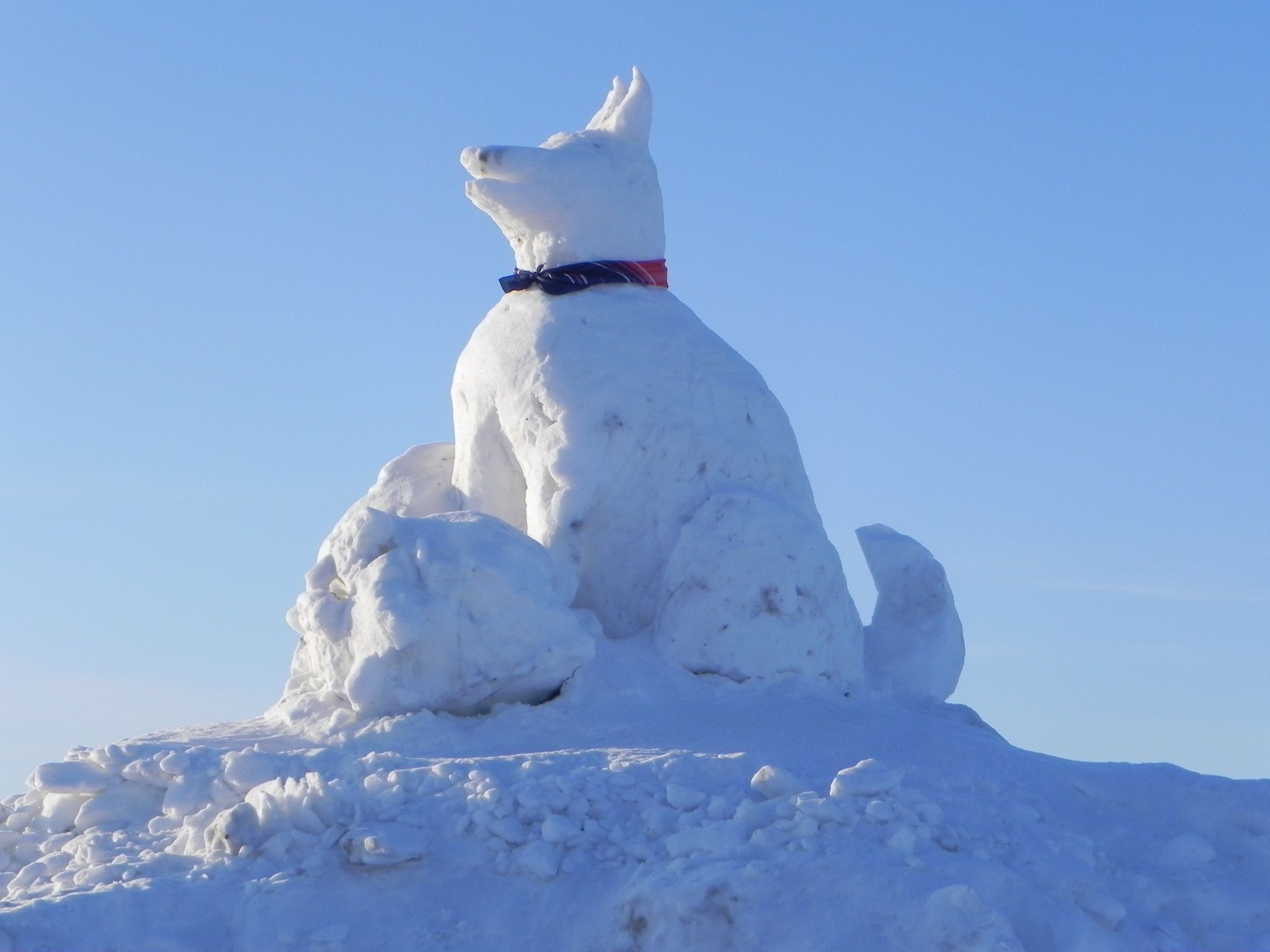 snow sculpture dog