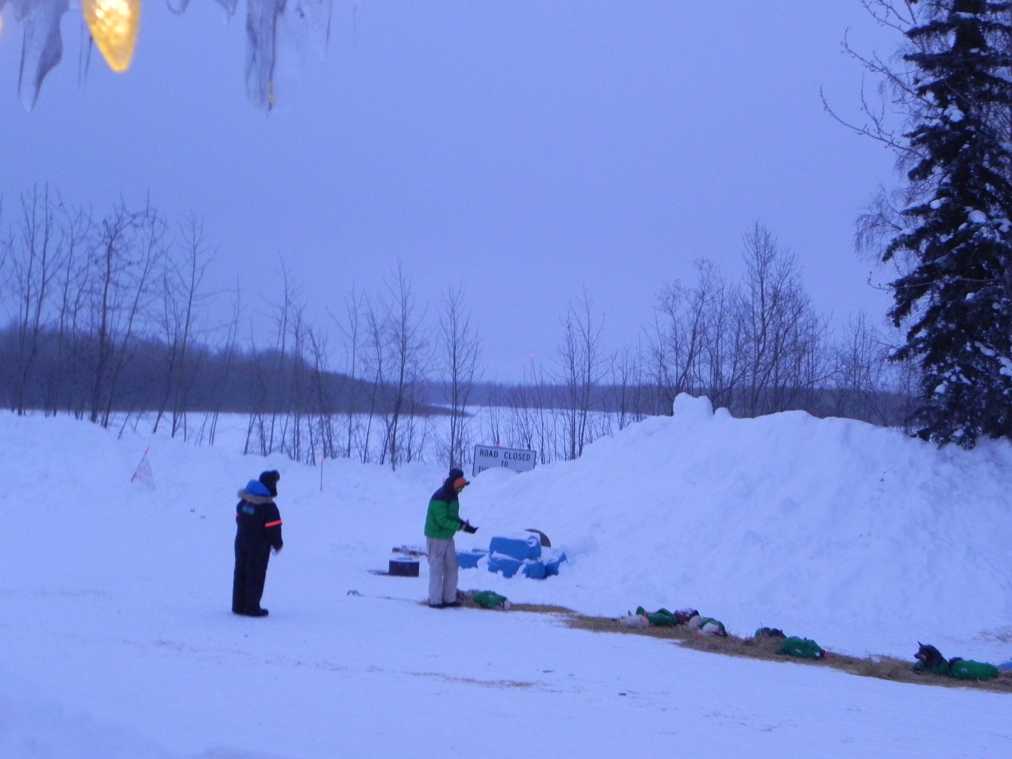 trsm resting mcgrath