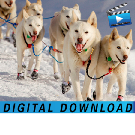 Digital Downloads