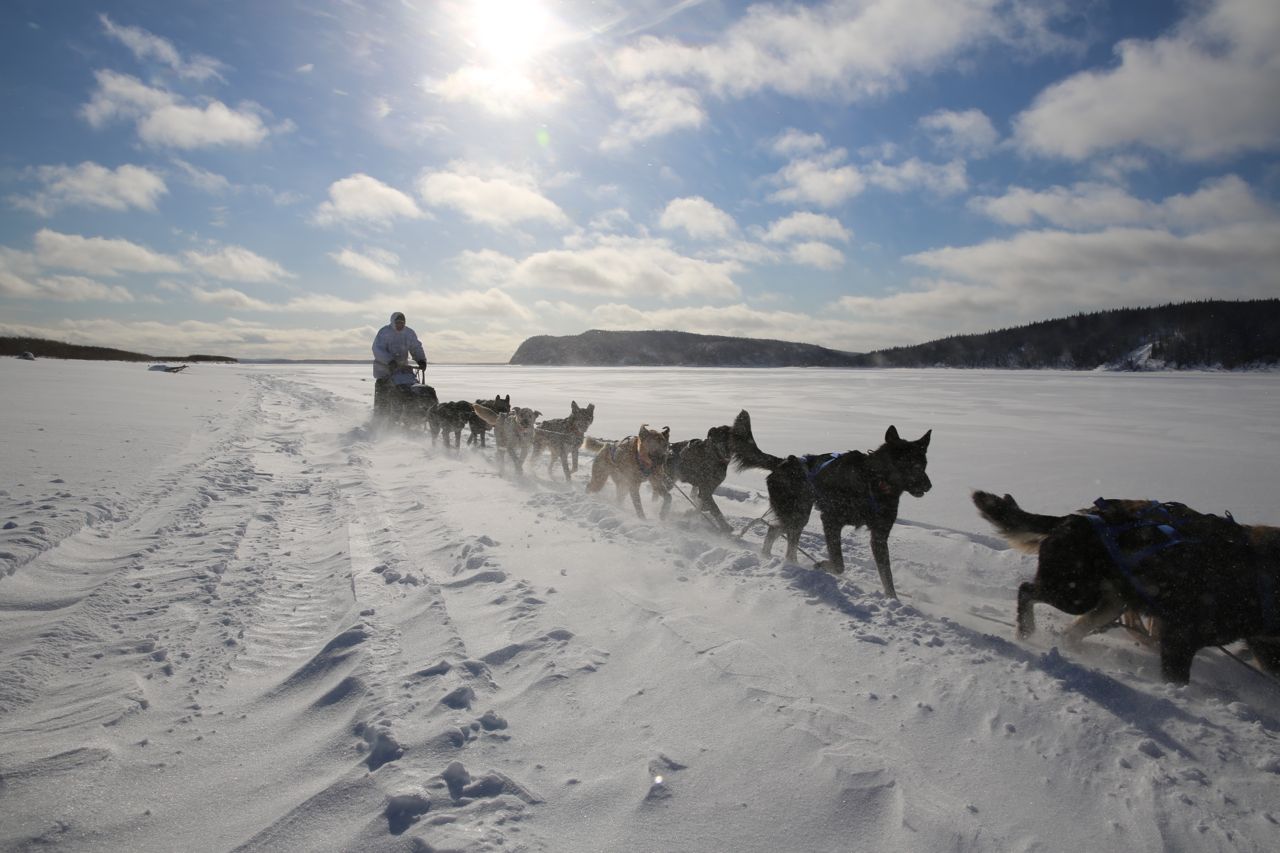 Martin Buser approaching Kaltag Iditarod