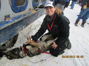 John Bakers partner Cat boots a dog trained to lay down and .paws.  Very easy on the back, best way to go for dog and musher